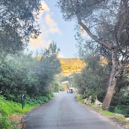 Le Mas D'Angeline, Vue Mer, Jardin Commun, Parking, Voiture Requise, 10 Min En Voiture De Monaco, Route Etroite, Pente Raide, Croisement Limite, Sea View, Shared Garden, Parking, Car Required, 10 Min Drive From Monaco, Narrow Steep Road, Limited Pass Beausoleil Buitenkant foto