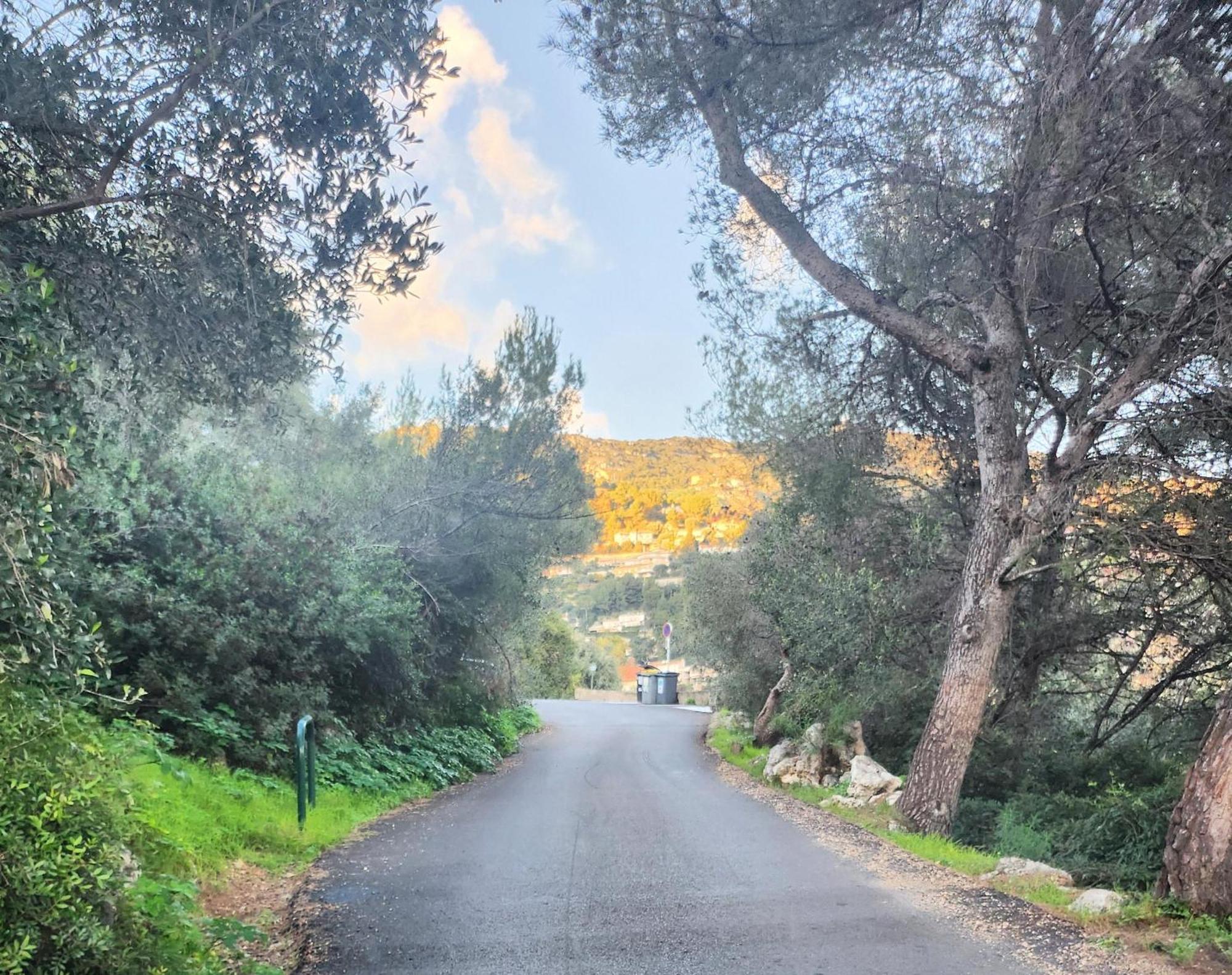 Le Mas D'Angeline, Vue Mer, Jardin Commun, Parking, Voiture Requise, 10 Min En Voiture De Monaco, Route Etroite, Pente Raide, Croisement Limite, Sea View, Shared Garden, Parking, Car Required, 10 Min Drive From Monaco, Narrow Steep Road, Limited Pass Beausoleil Buitenkant foto