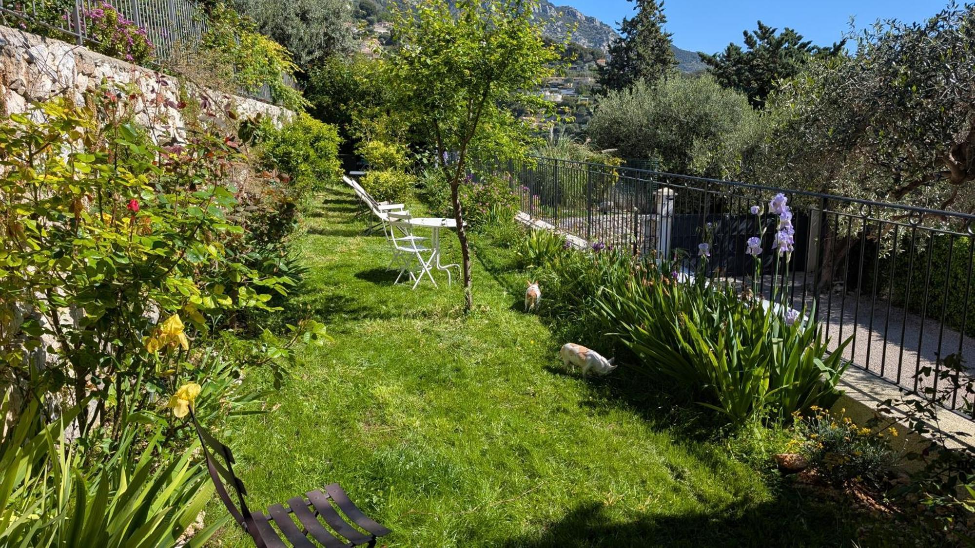 Le Mas D'Angeline, Vue Mer, Jardin Commun, Parking, Voiture Requise, 10 Min En Voiture De Monaco, Route Etroite, Pente Raide, Croisement Limite, Sea View, Shared Garden, Parking, Car Required, 10 Min Drive From Monaco, Narrow Steep Road, Limited Pass Beausoleil Buitenkant foto